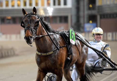 Per Nordström i segerdefilering tillsammans med Felix Orlando. Foto: Lars Jakobsson, TR Bild 